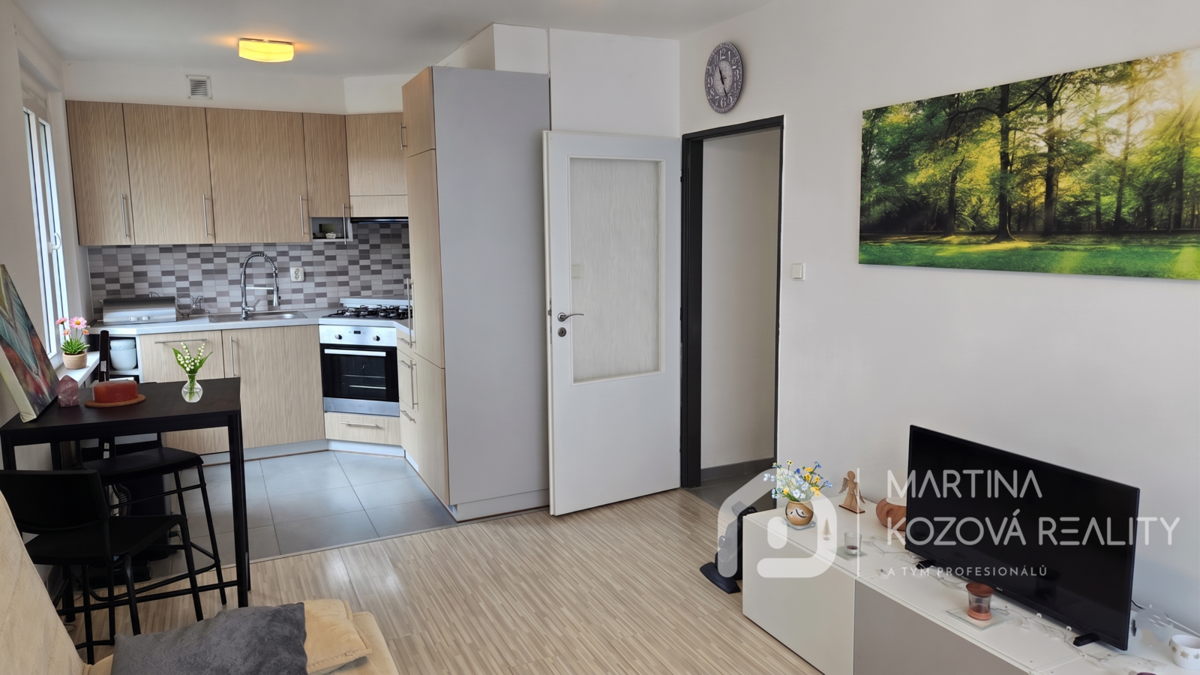 Căn hộ cho thuê · 2+kk · 41 m²