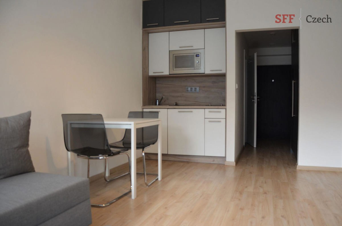 Аренда квартиры · 1+kk · 28 m²