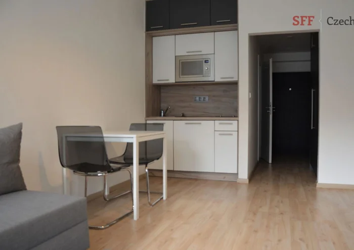 Căn hộ cho thuê · 1+kk · 28 m²
