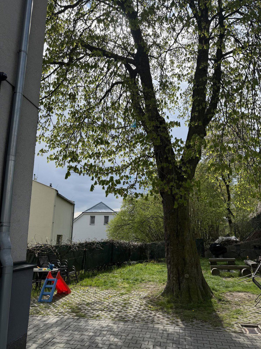 Fotografie 24/29