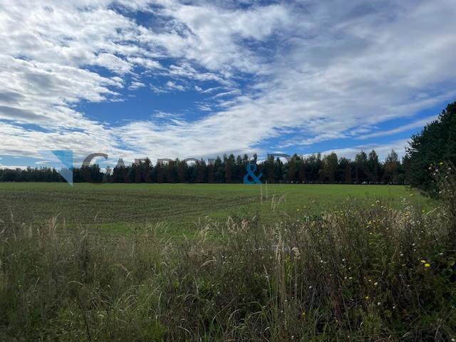 Photo 8/16