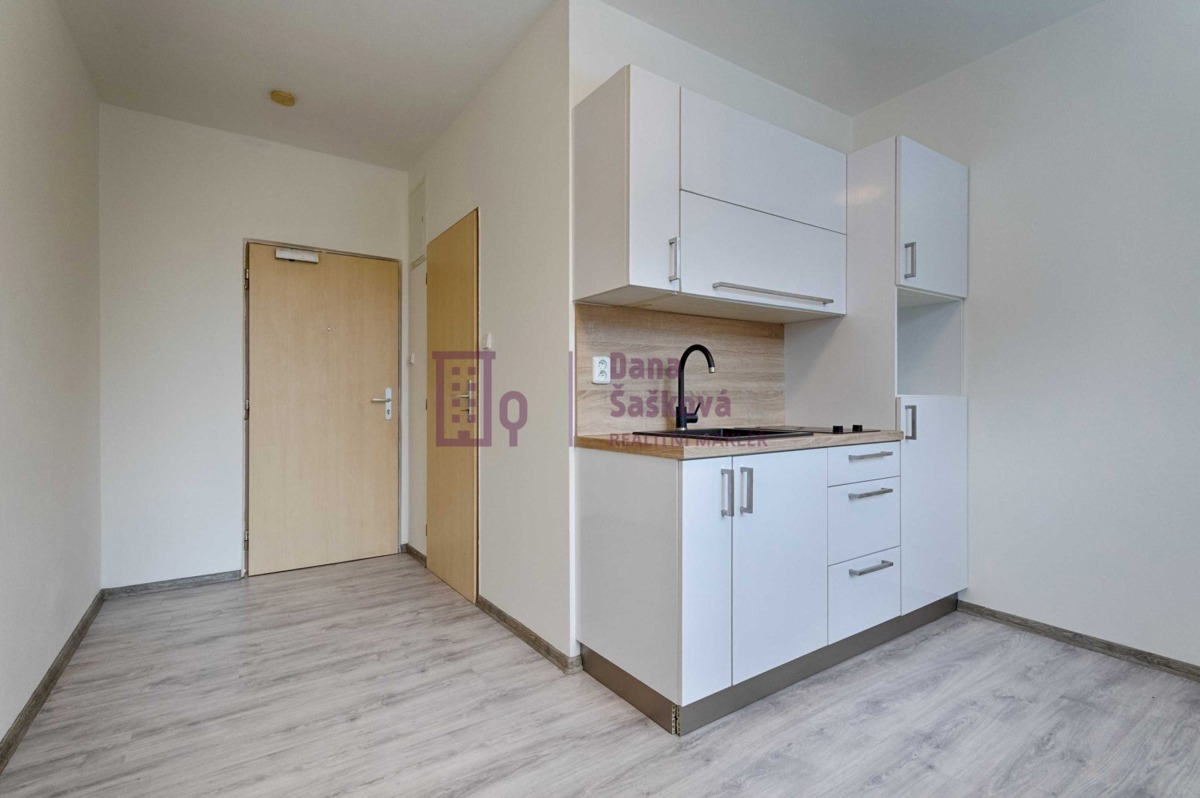 Pronájem bytu · 1+kk · 16 m²