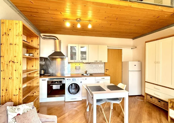 Căn hộ cho thuê · 1+kk · 24 m²