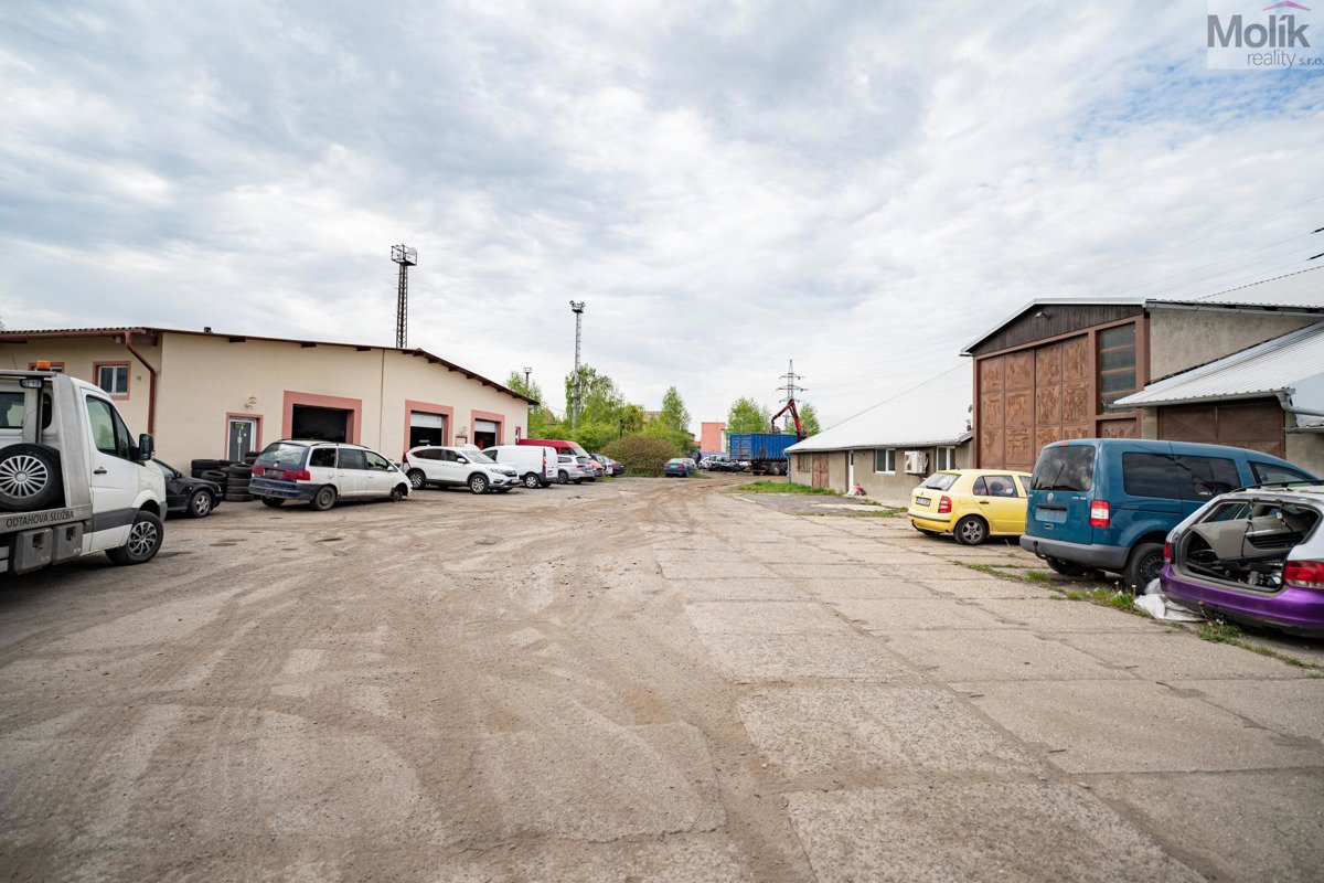 Фото 13/40