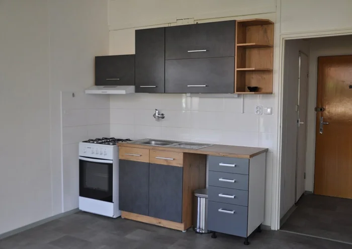 Căn hộ cho thuê · 1+1 · 42 m²