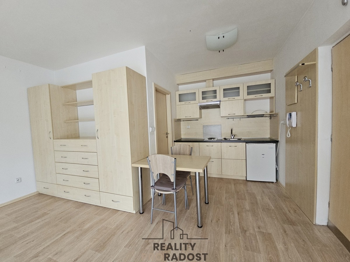 Căn hộ cho thuê · 1+kk · 28 m²