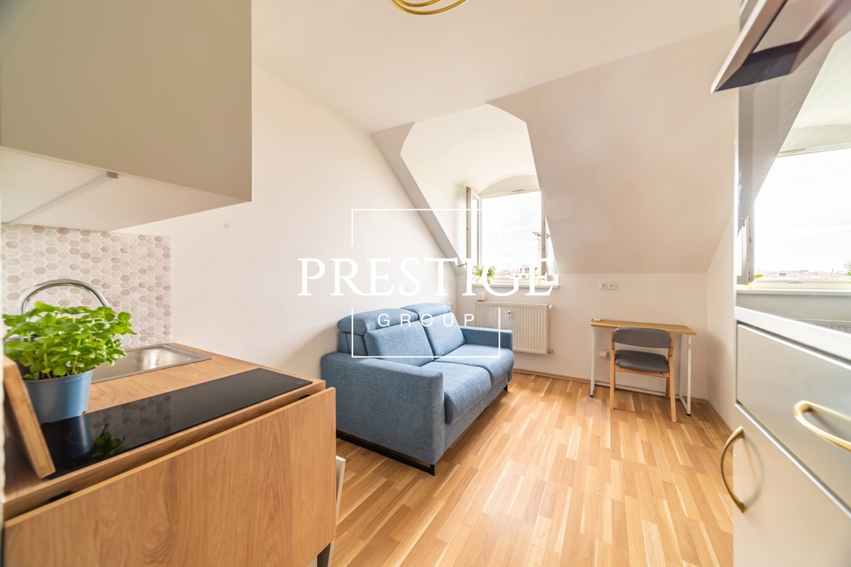 Аренда квартиры · 1+kk · 18 m²