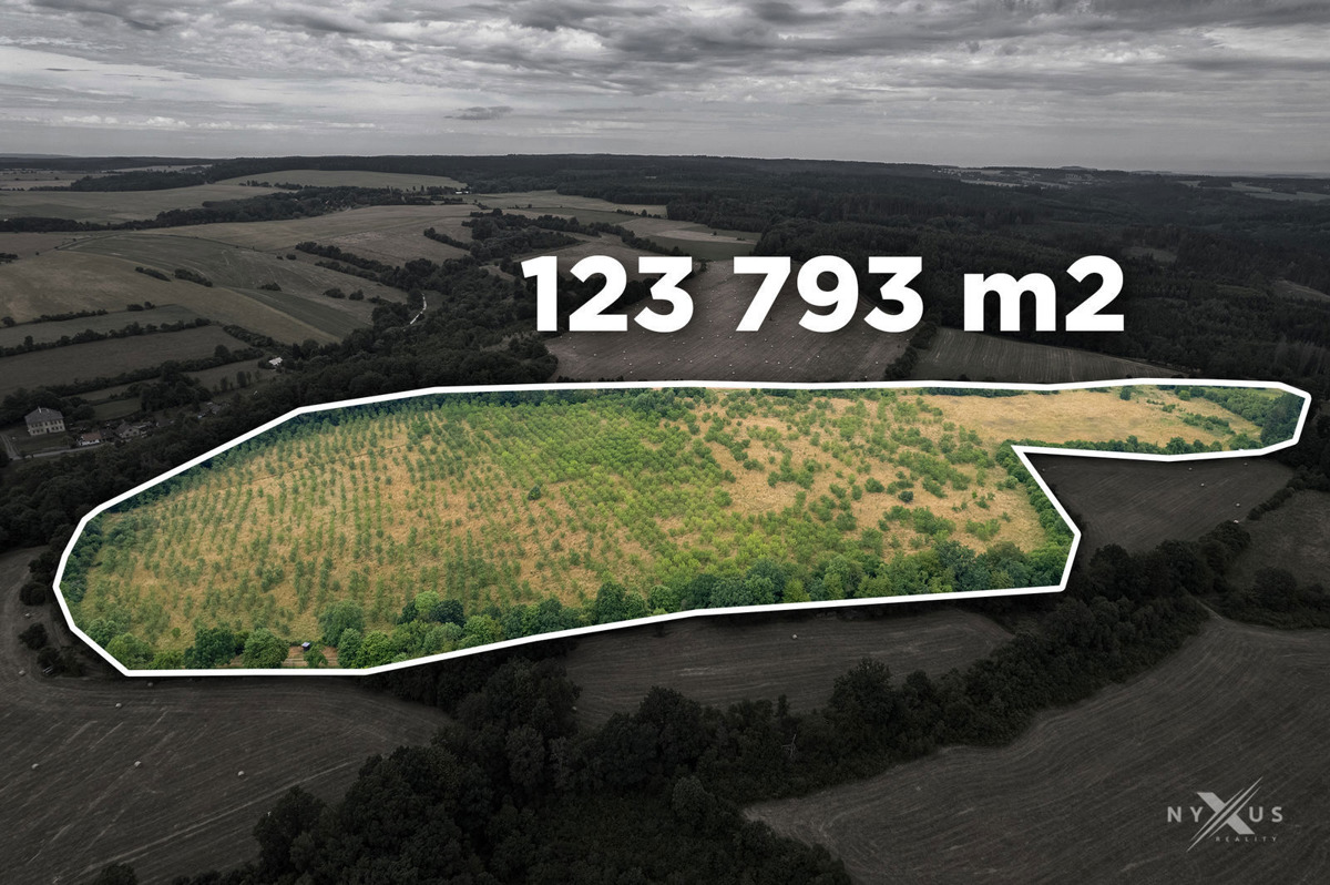 Fotografie 1 - Prodej pozemku · Vinice · 123 793 m²