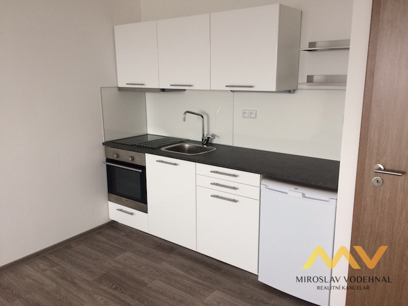 Apartment for rent · 1+kk · 30 m²