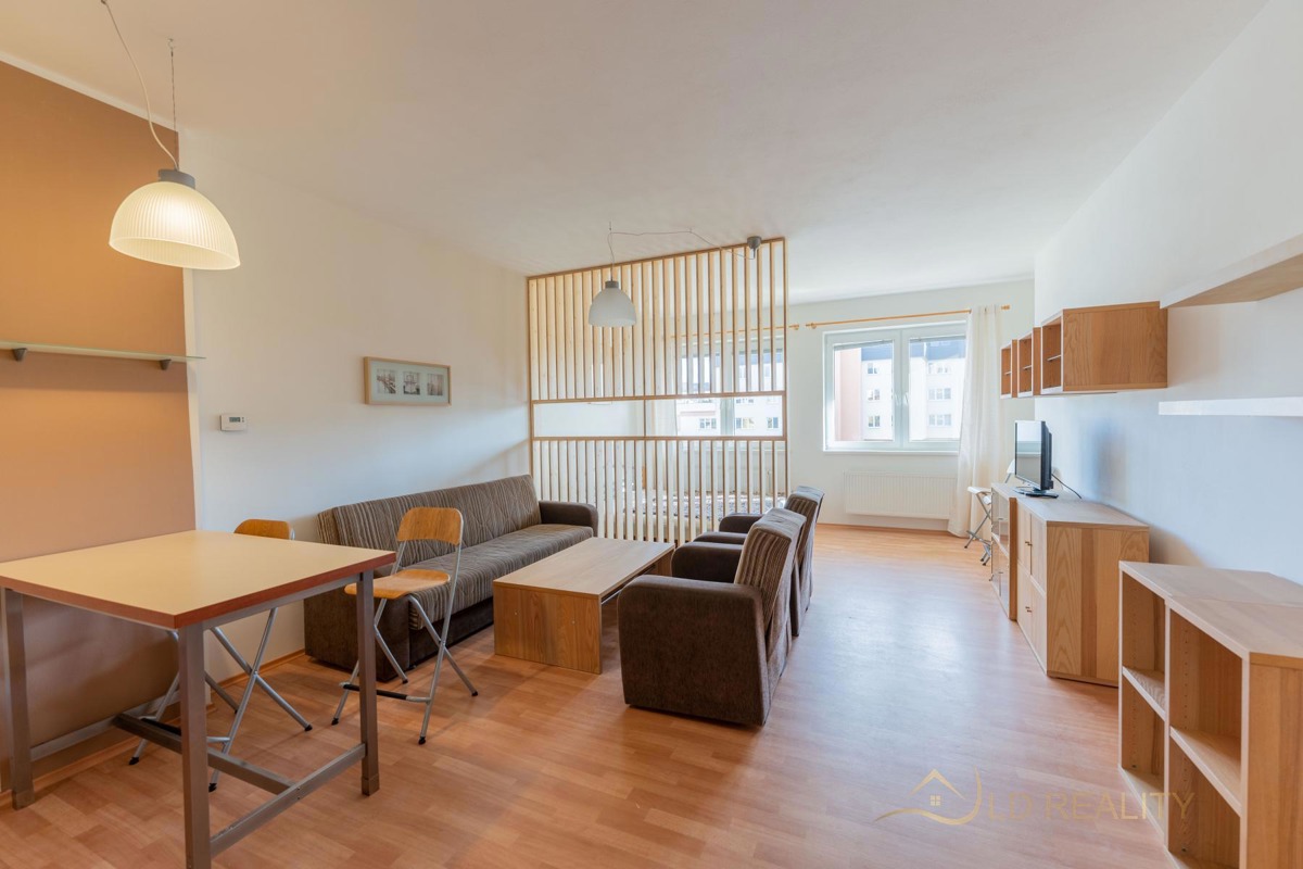 Apartment for rent · 1+kk · 42 m²