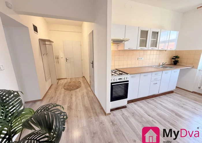 Pronájem bytu · 2+1 · 55 m²