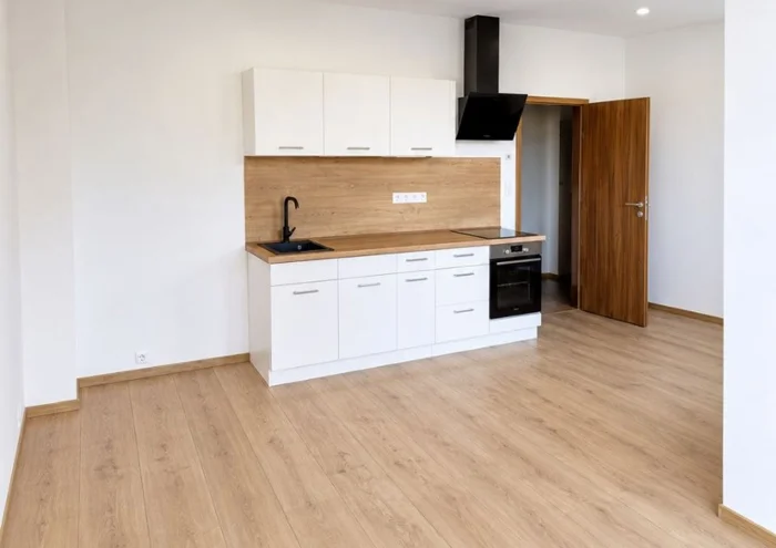 Apartment for rent · 1+kk · 27 m²