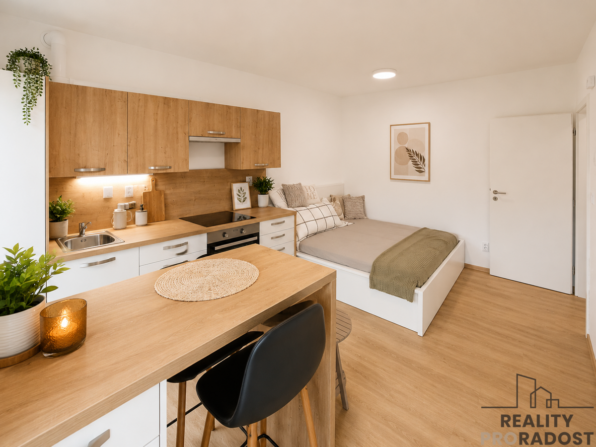 Căn hộ cho thuê · 1+kk · 23 m²