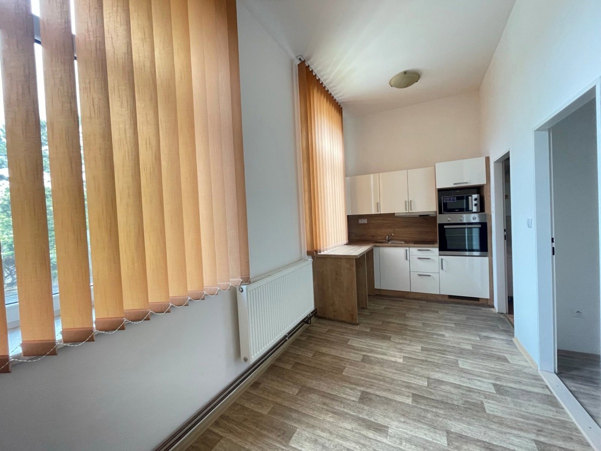 Fotografie 2 - Pronájem bytu · 1+kk · 24 m²