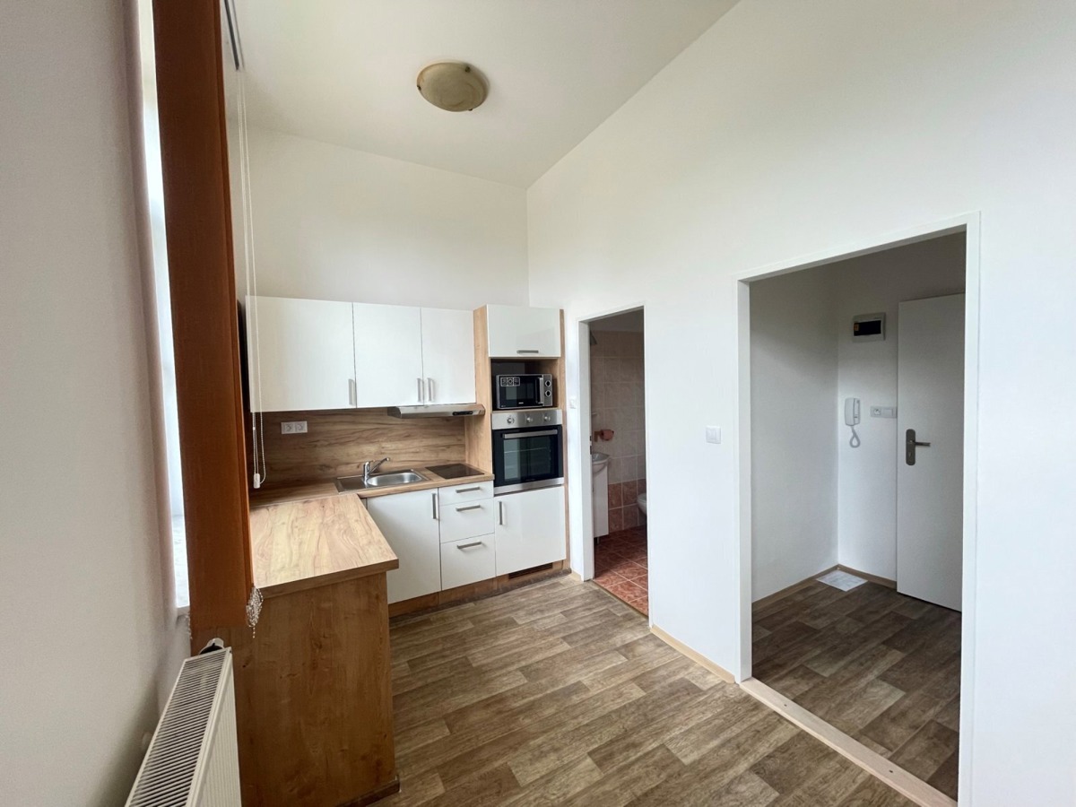 Fotografie 4 - Pronájem bytu · 1+kk · 24 m²