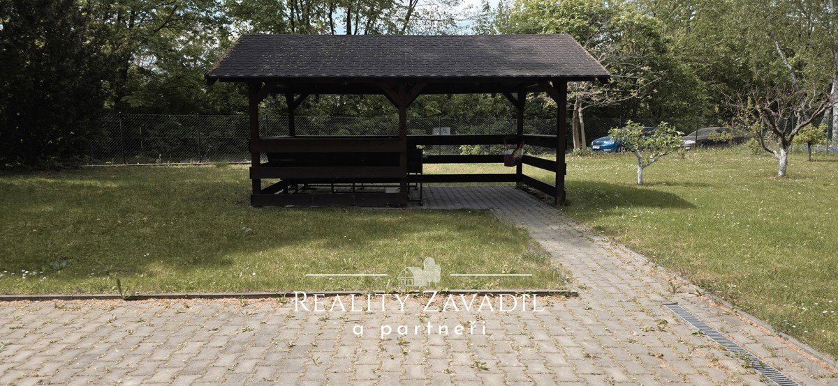 Fotografie 10/12
