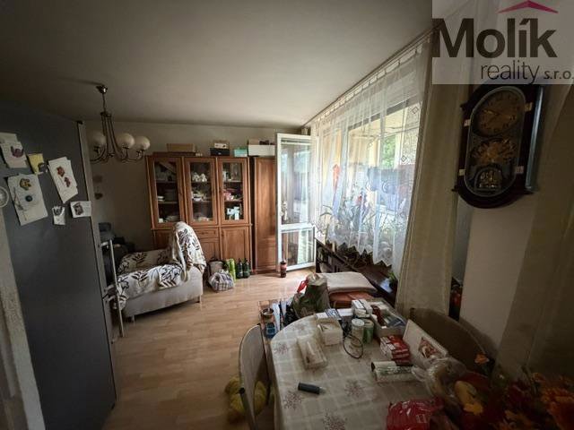 Fotografie 2/24