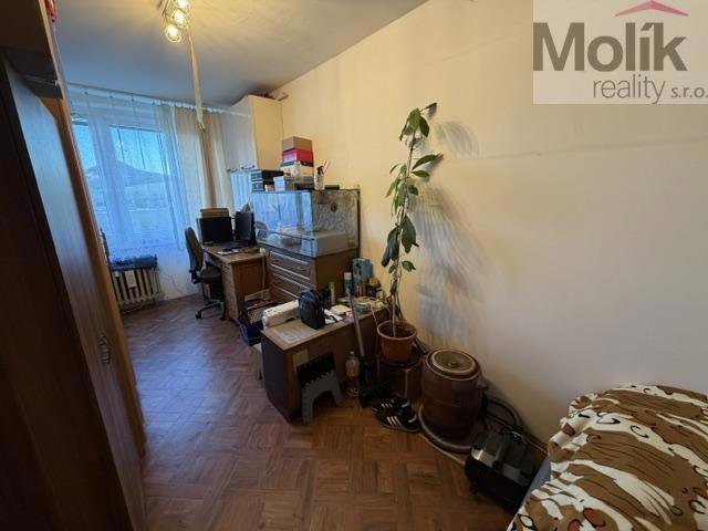 Fotografie 7/24