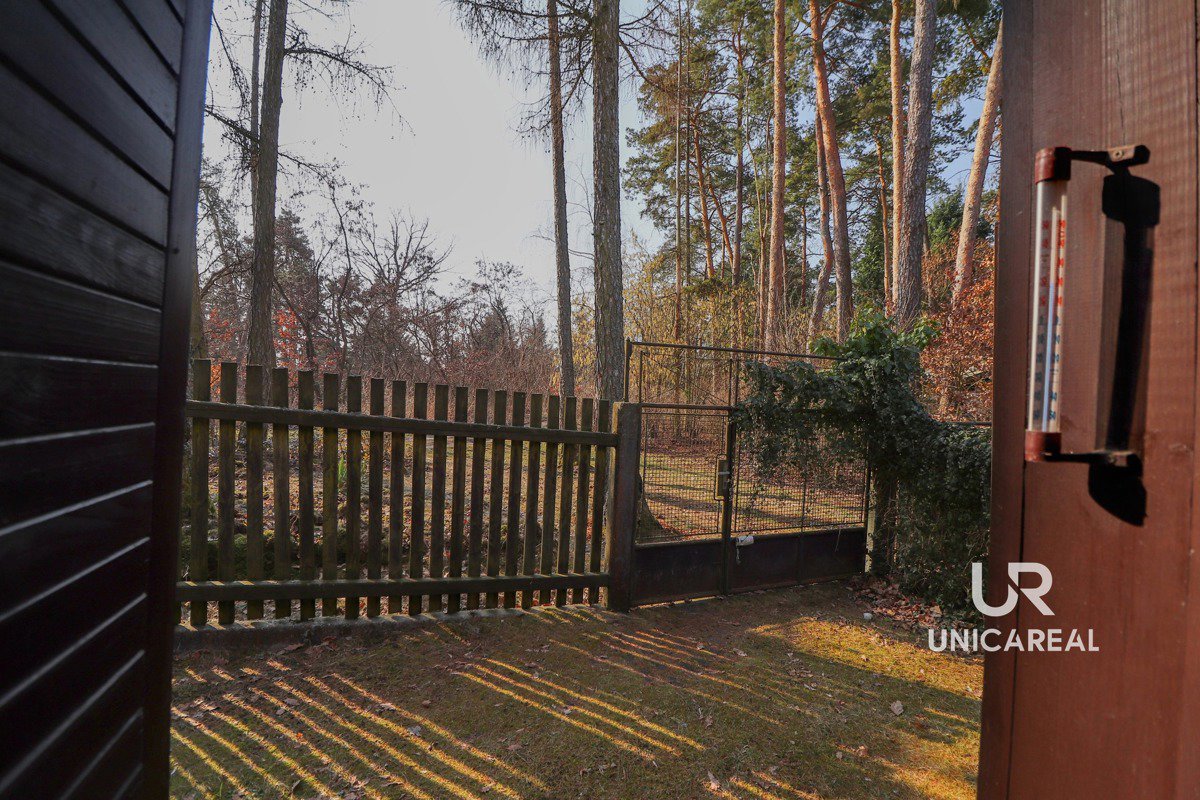 Fotografie 11/23