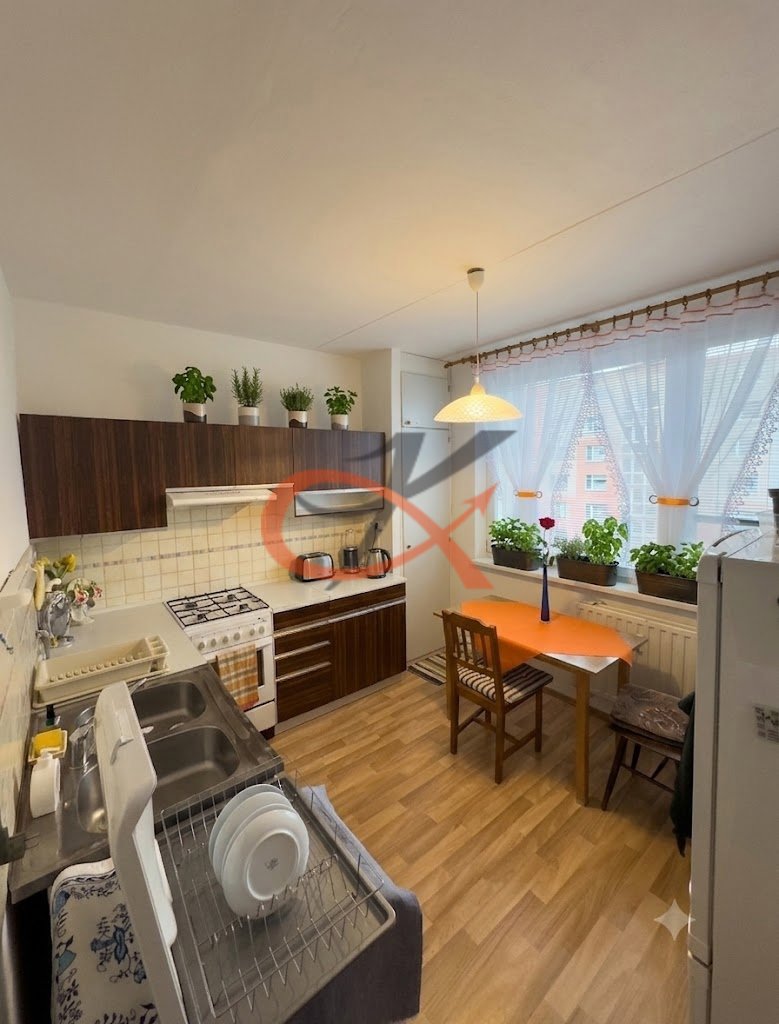 Fotografie 3/13