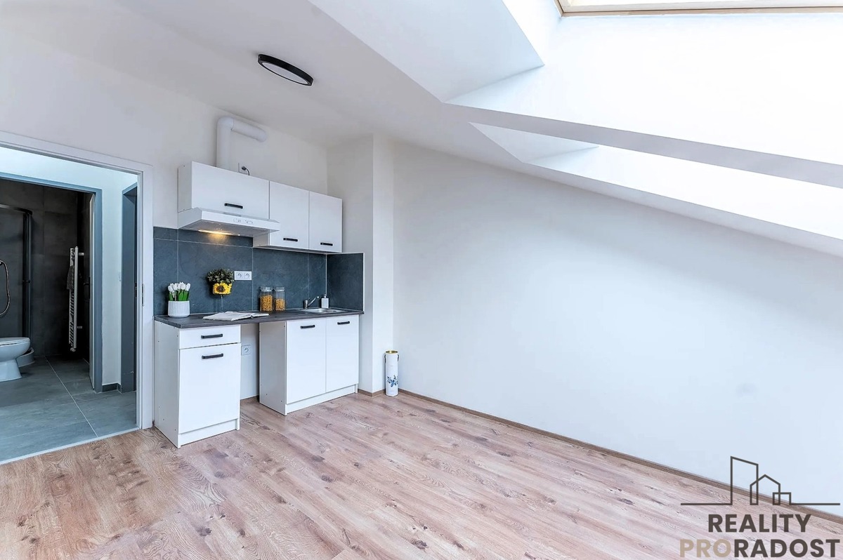 Pronájem bytu · 1+kk · 18 m²