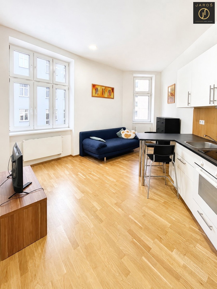 Căn hộ cho thuê · 1+kk · 25 m²