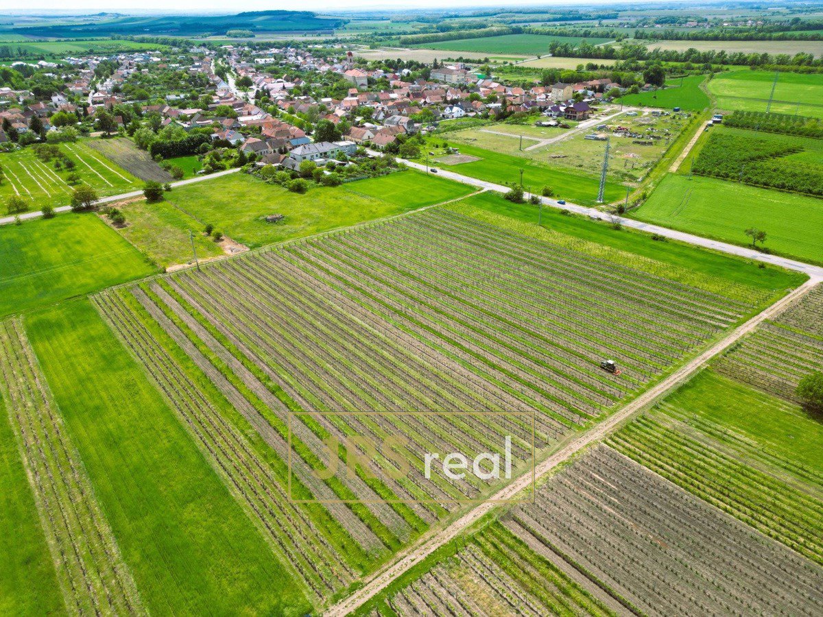 Fotografie 2/9