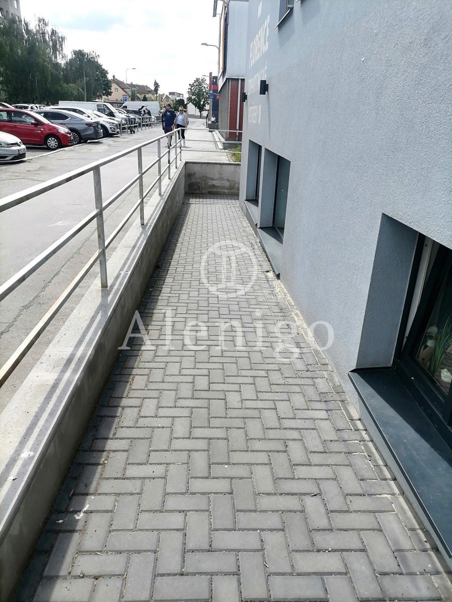 Fotografie 5/25