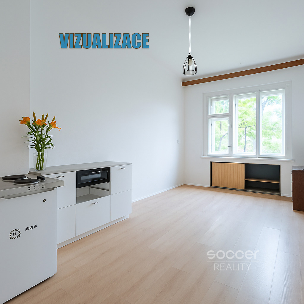 Apartment for rent · 2+kk · 46 m²