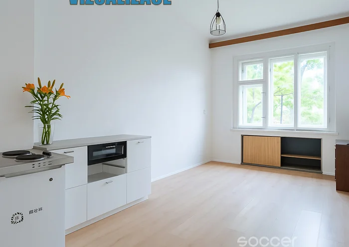 Pronájem bytu · 2+kk · 48 m²