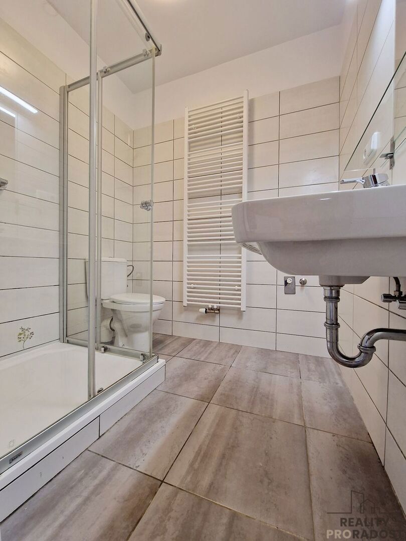 Pronájem bytu · 2+1 · 55 m²