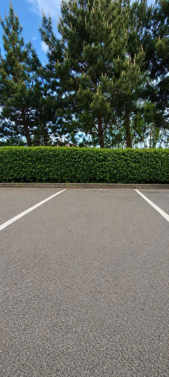 Fotografie 10/10