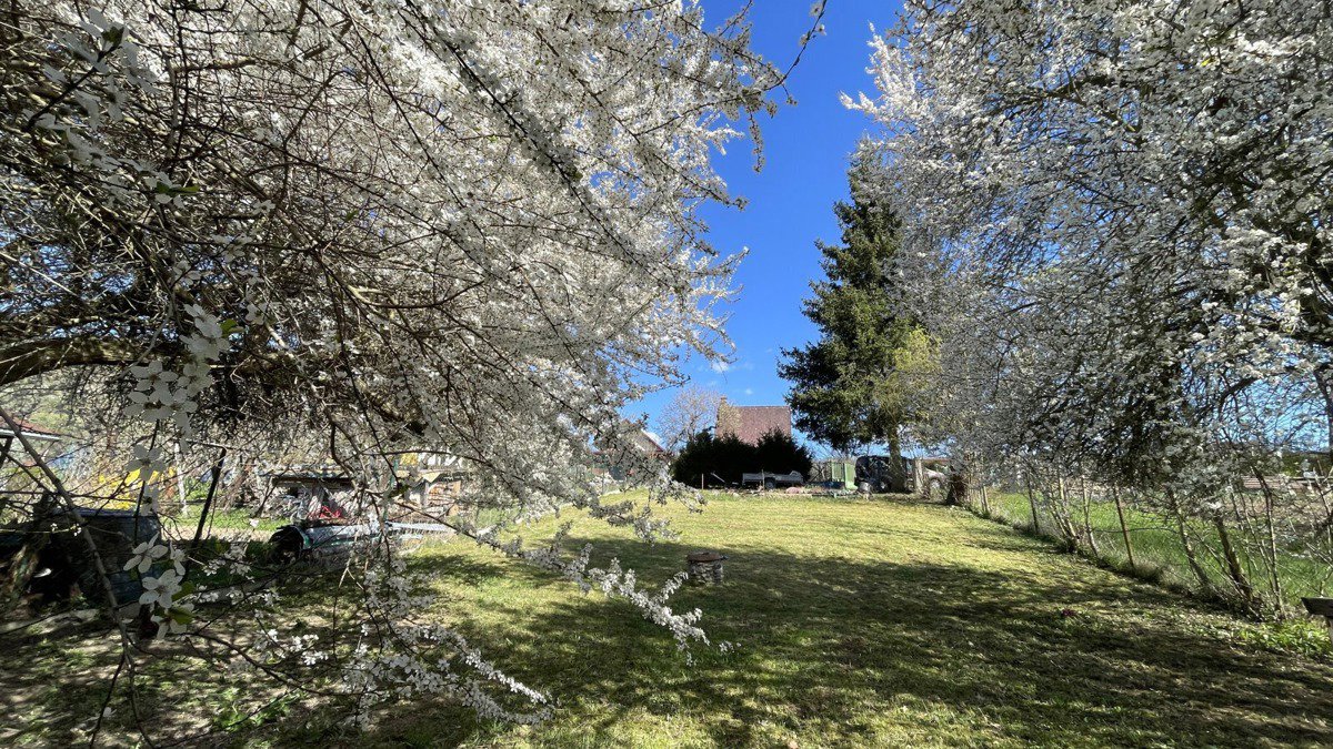 Photo 3/18