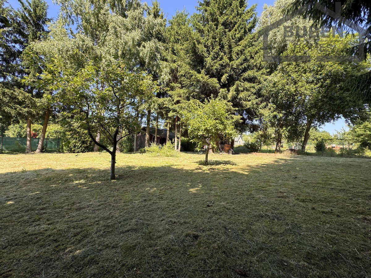 Fotografie 24/30