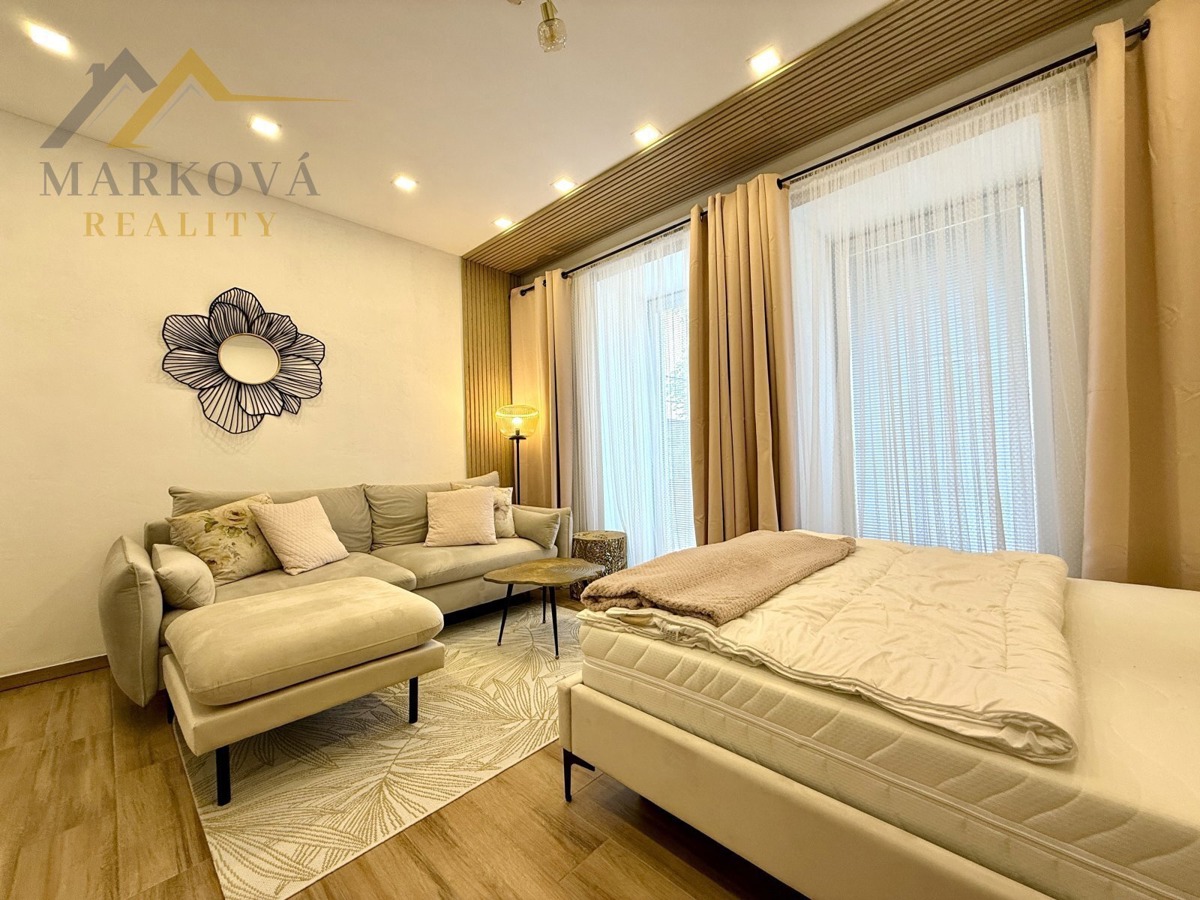 Apartment for rent · 1+kk · 30 m²