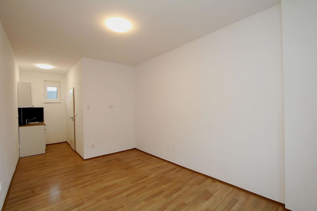 Apartment for rent · 1+kk