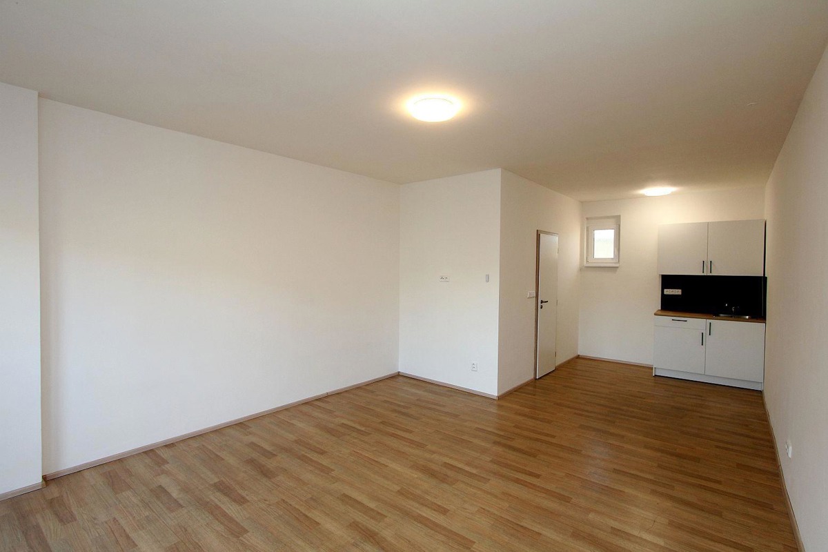 Apartment for rent · 1+kk