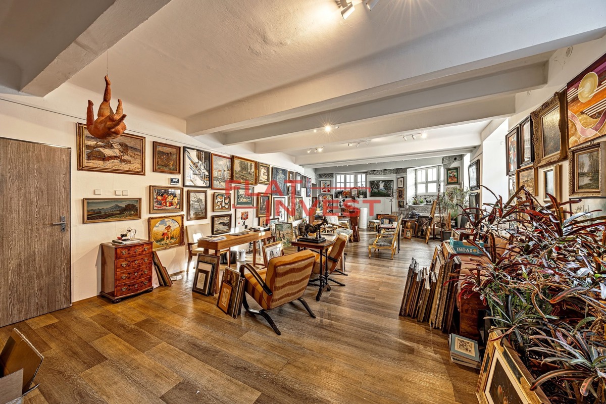 Pronájem komerční nemovitosti · 233 m²