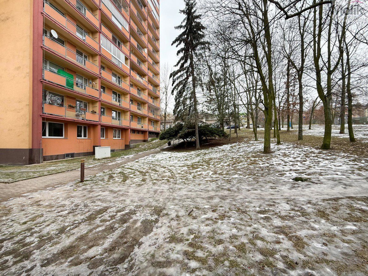 Photo 18/18