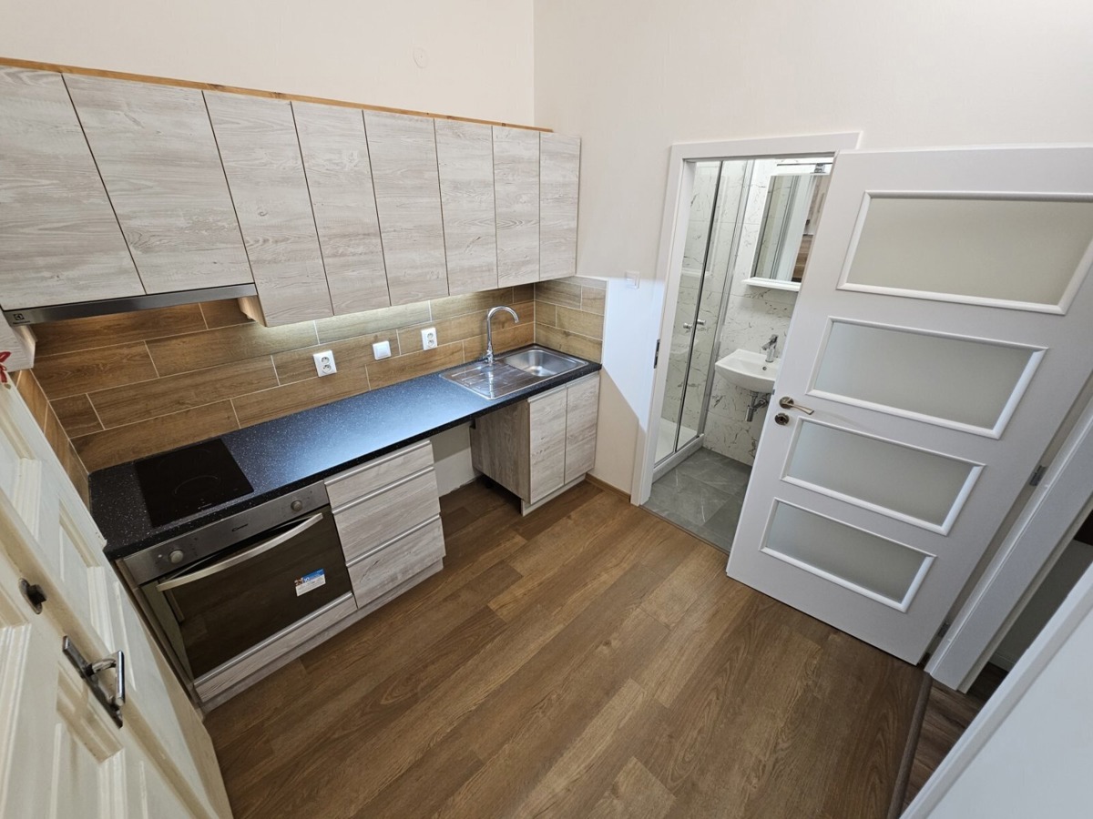Pronájem bytu · 1+1 · 28 m²