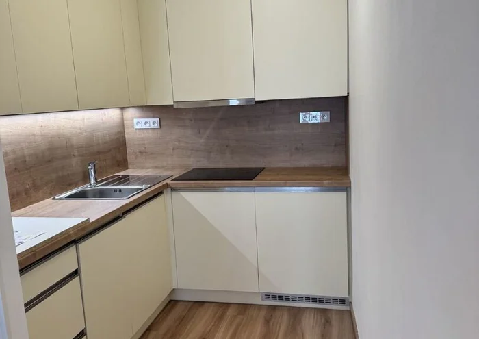 Căn hộ cho thuê · 1+kk · 29 m²