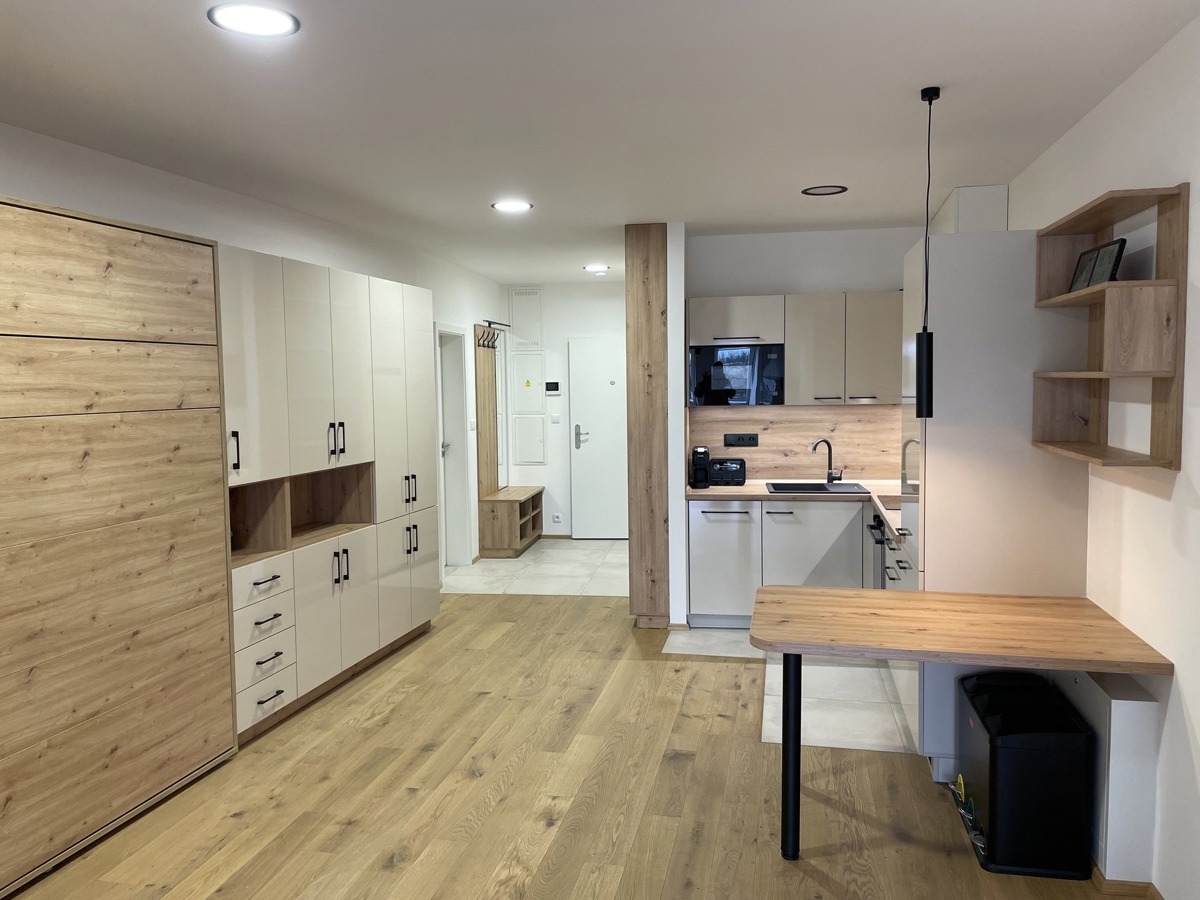 Fotografie 1 - Pronájem bytu · 1+kk · 43 m²