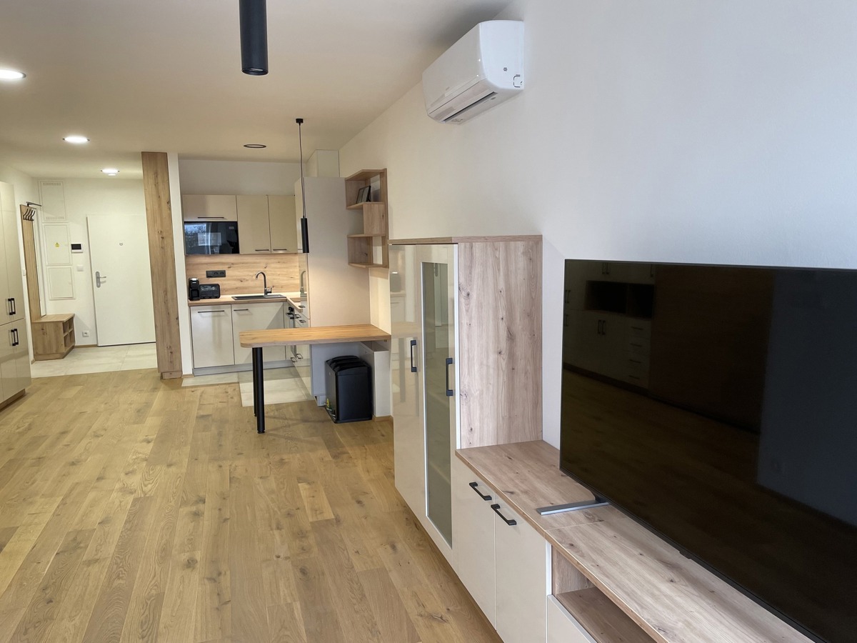 Fotografie 4 - Pronájem bytu · 1+kk · 43 m²
