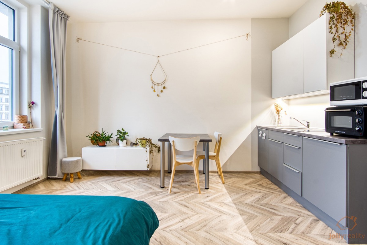Pronájem bytu · 1+kk · 25 m²