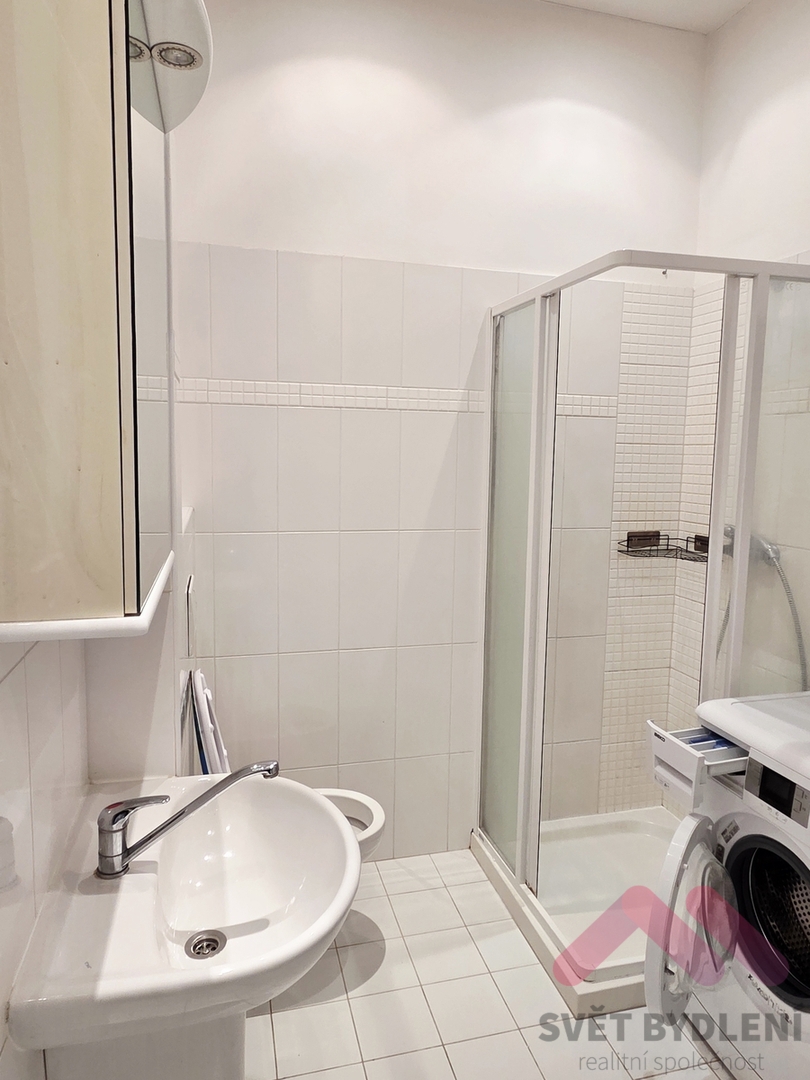 Fotografie 4 - Pronájem bytu · 1+kk · 32 m²