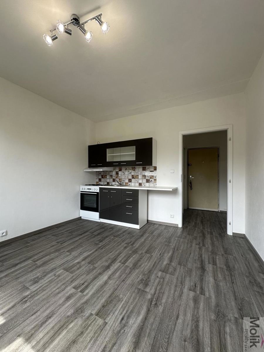 Fotografie 3 - Pronájem bytu · 1+1 · 36 m²