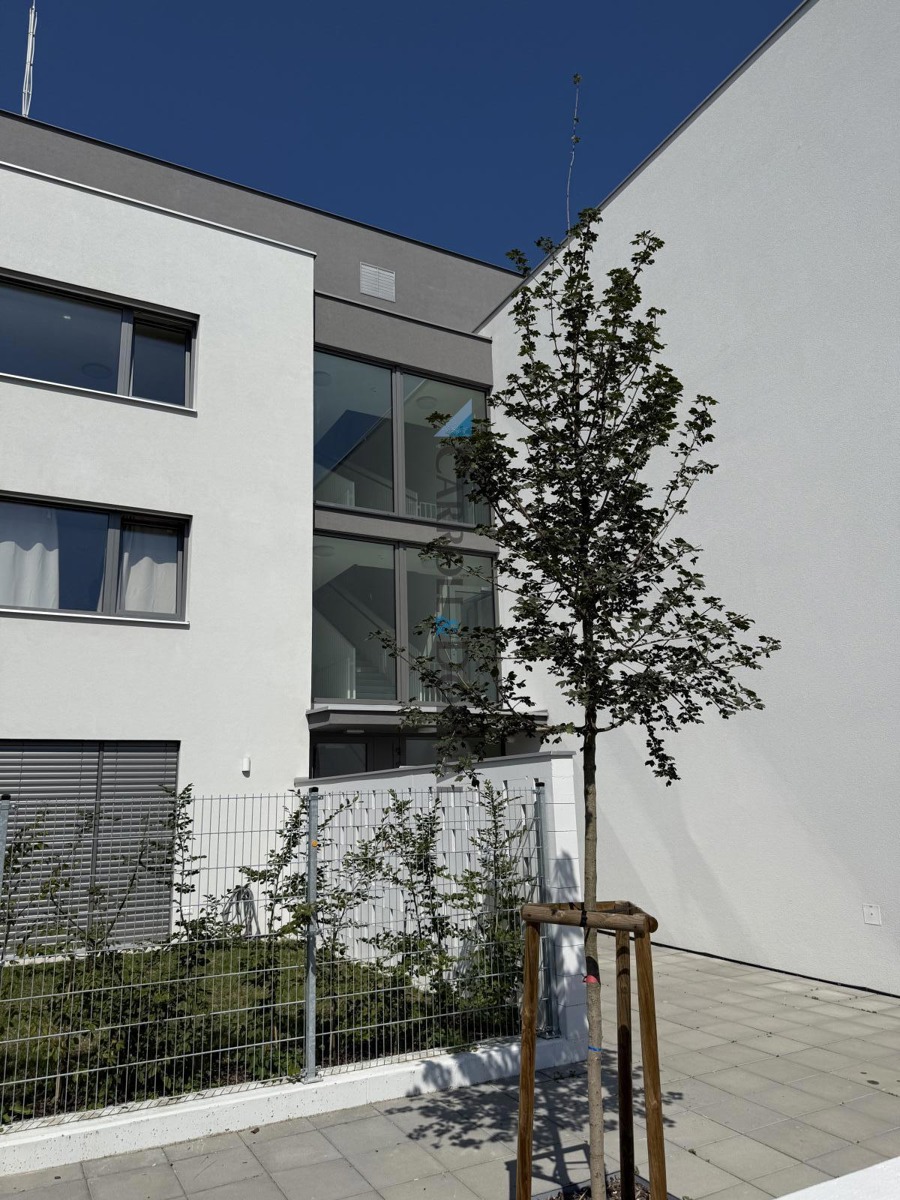 Apartment for rent · 1+kk · 35 m²
