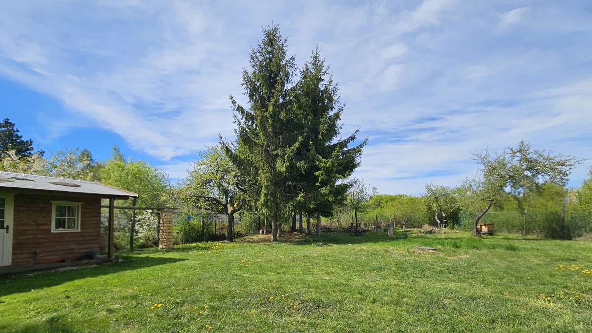 Fotografie 3 - Prodej pozemku · Komerční · 769 m²