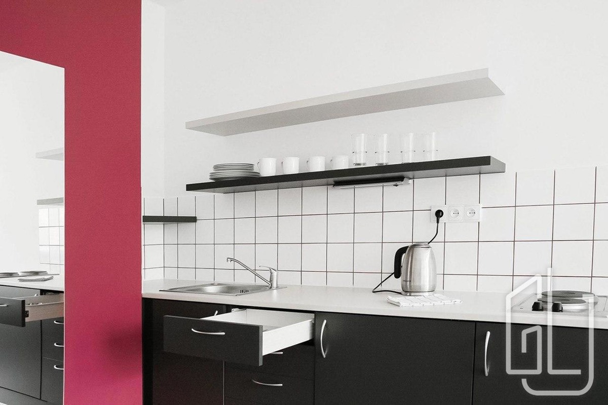 Căn hộ cho thuê · 1+kk · 27 m²