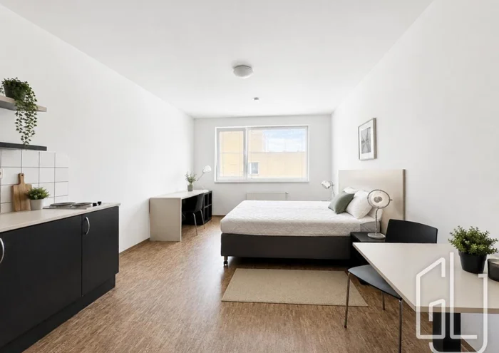 Apartment for rent · 1+kk · 27 m²